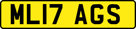 ML17AGS