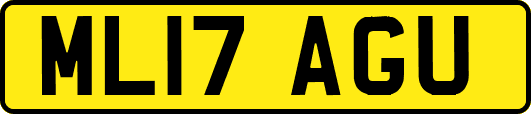 ML17AGU