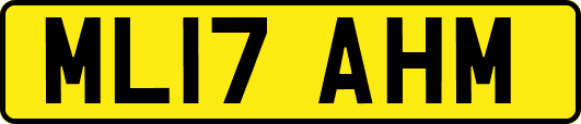 ML17AHM