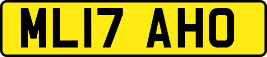 ML17AHO