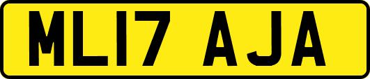 ML17AJA