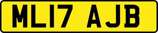 ML17AJB