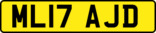 ML17AJD