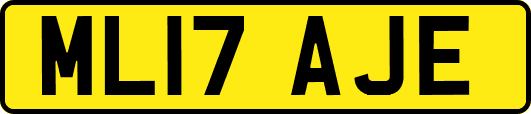 ML17AJE