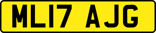 ML17AJG