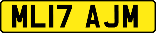 ML17AJM