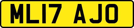 ML17AJO