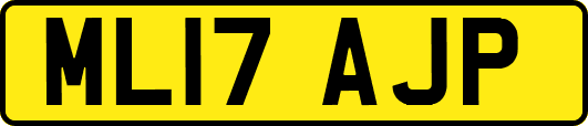 ML17AJP