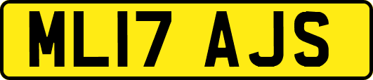 ML17AJS