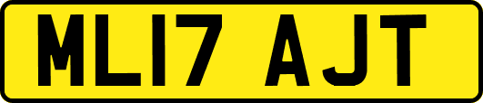 ML17AJT