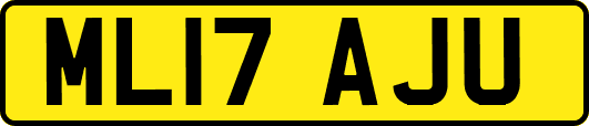 ML17AJU