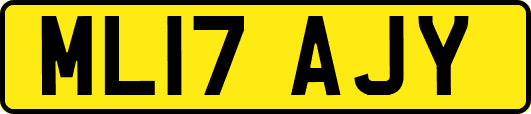ML17AJY