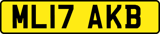 ML17AKB