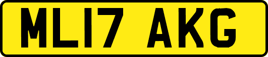 ML17AKG