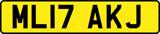 ML17AKJ