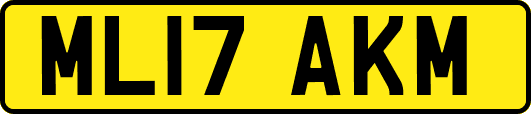 ML17AKM