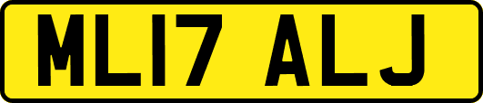 ML17ALJ
