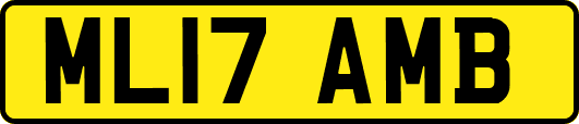ML17AMB