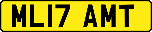 ML17AMT