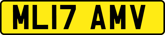 ML17AMV