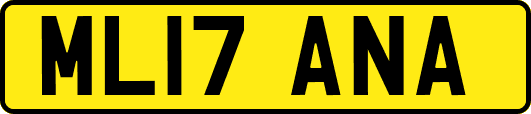 ML17ANA