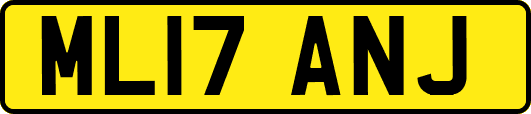 ML17ANJ