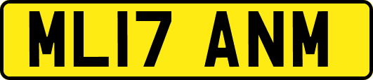 ML17ANM