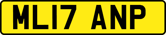 ML17ANP
