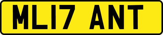 ML17ANT