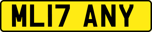 ML17ANY