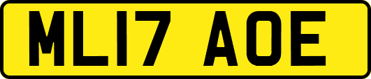 ML17AOE