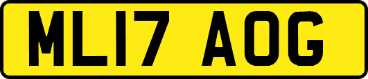 ML17AOG