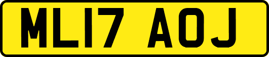 ML17AOJ
