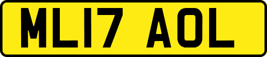 ML17AOL