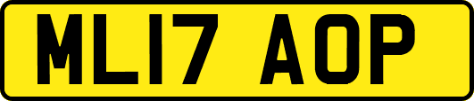 ML17AOP