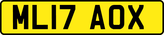 ML17AOX