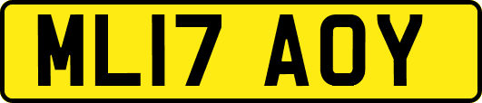 ML17AOY