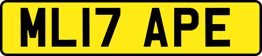 ML17APE