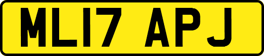 ML17APJ