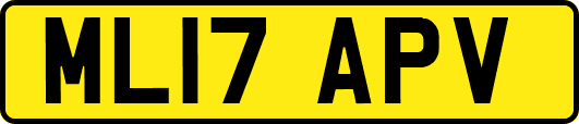 ML17APV