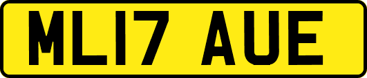 ML17AUE