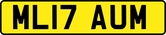 ML17AUM