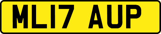 ML17AUP