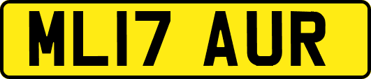 ML17AUR
