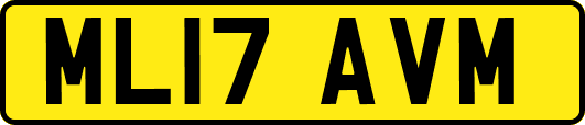 ML17AVM