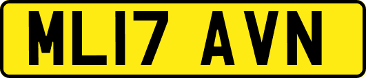 ML17AVN