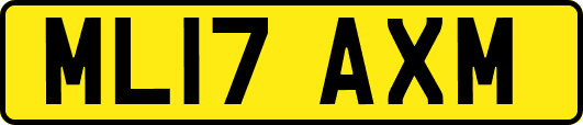 ML17AXM