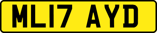 ML17AYD