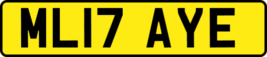 ML17AYE
