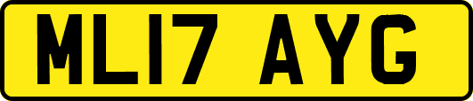 ML17AYG